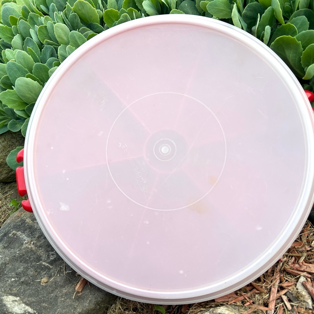 Vintage Tupperware 405-1 Red Divided Tray with Lid - Picture 2 of 6